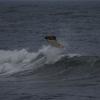 08_pro_am 012