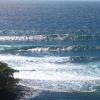 img_7079-medium-