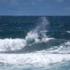 img_7279-medium-