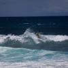 img_7500-medium-
