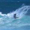 img_7595-medium-