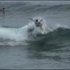 PDVD_016s