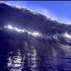 NorthShore1_jpg