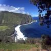 NorthShore3_jpg