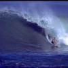 NorthwestShore3_jpg