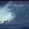 SouthernShore4_jpg