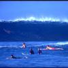 SouthernShore6_jpg
